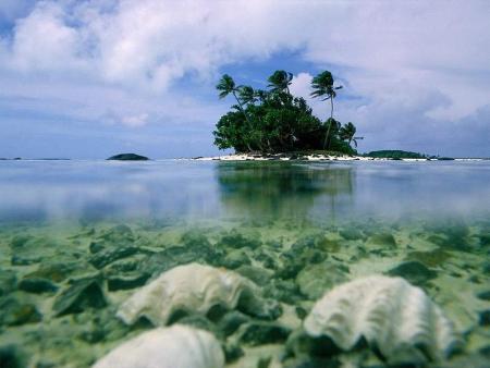 beach::::::::::::::::::::::::::