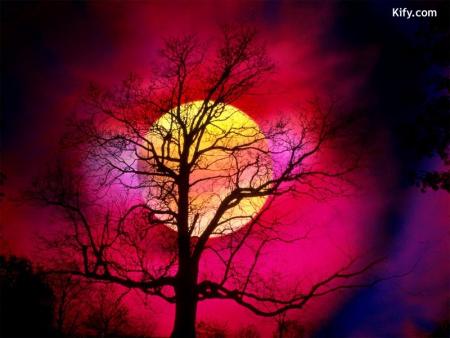 mes images:::::::::::::