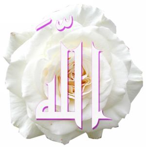 allah