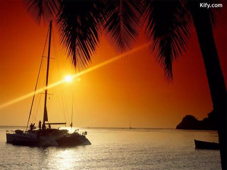 mes images:::::::::::::