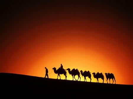 vive sahara:!:::::::::::::::::::::::::::