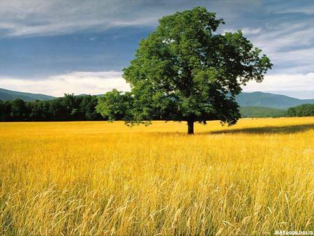 mes images::::::::::::