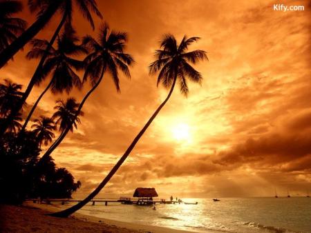 mes images:::::::::::::waw