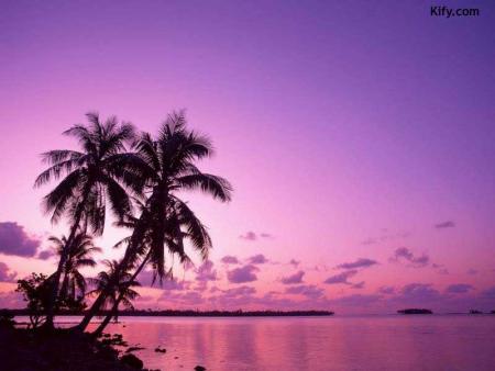 mes images:::::::::::::