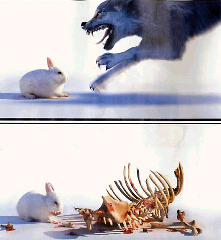 regadez ça::::::::::::::::::