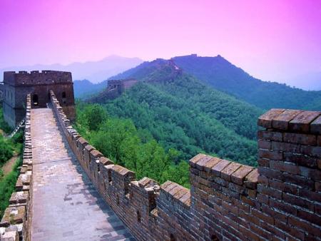 mure de chine:::::::::::::::::::::::::