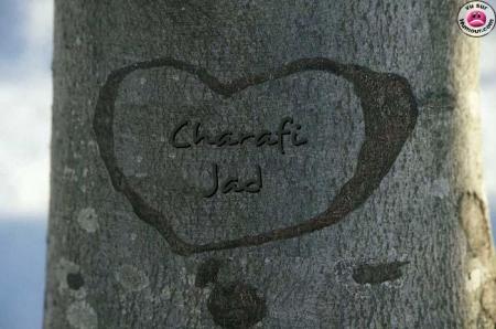 charafi jad