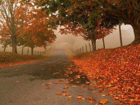 mes images::::::::::::